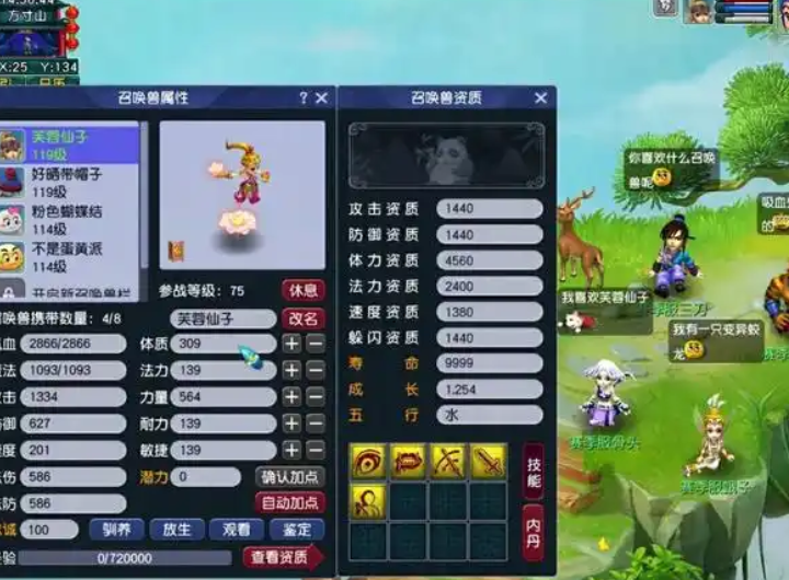 梦幻西游私服 战斗场景